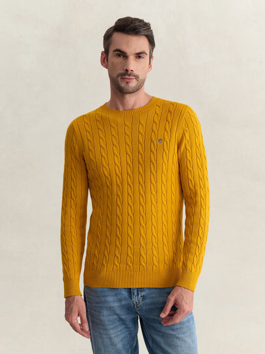 Gant Men Yellow Regular Fit Woven Design Organic Cotton Sweater