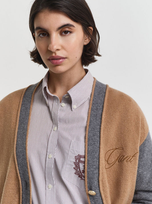 Gant Women Brown Colour blocked V Neck Sweater