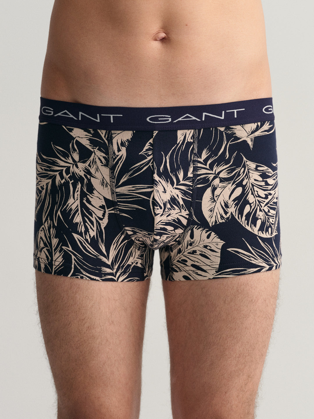 Gant Men Blue Printed Briefs - Pack of 3