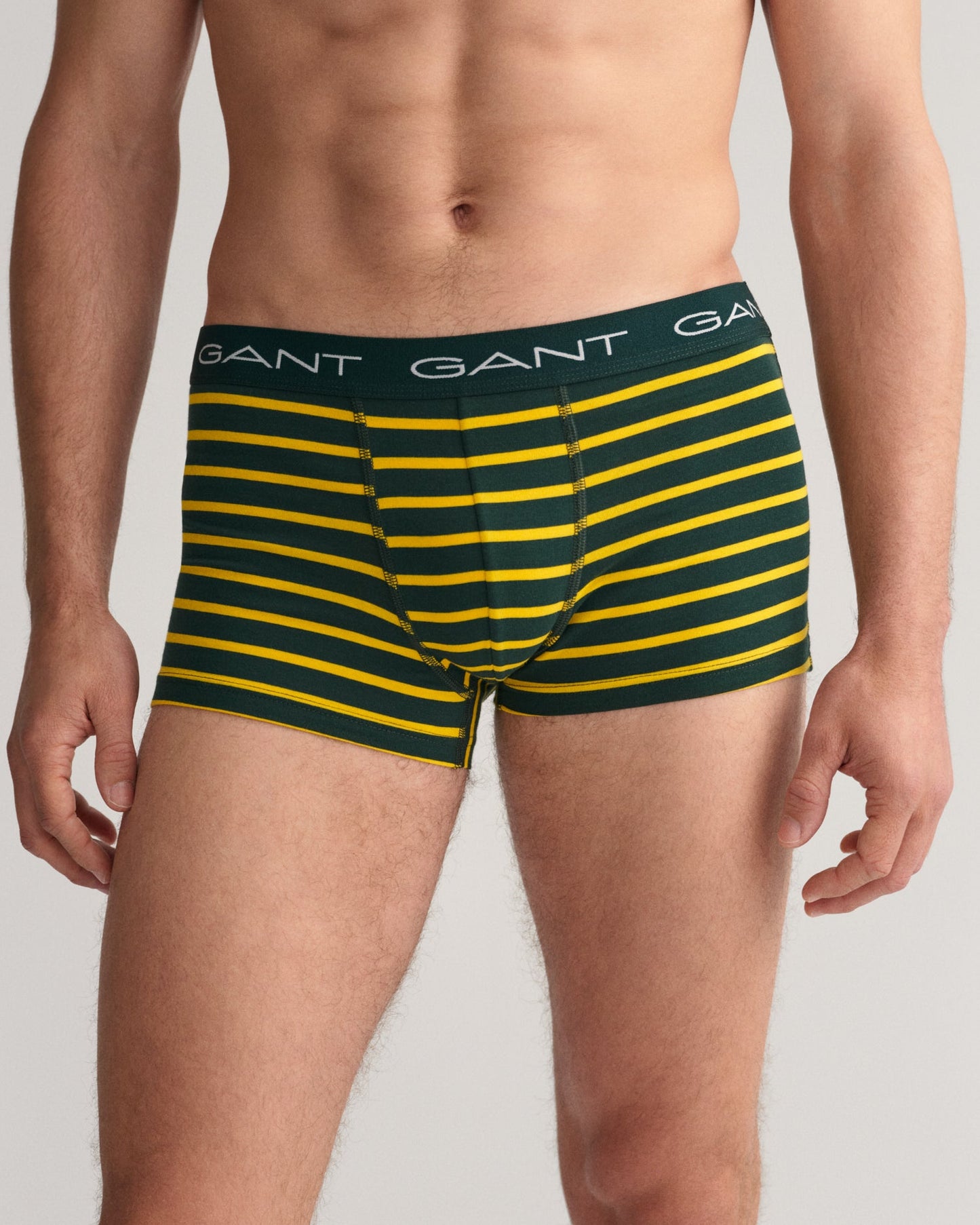 Gant Men Pack of 3 Briefs