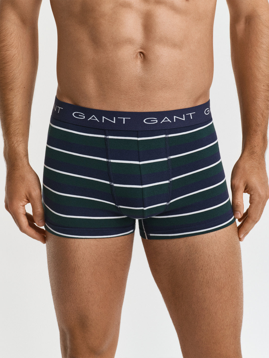 Gant Men Green Striped Trunk