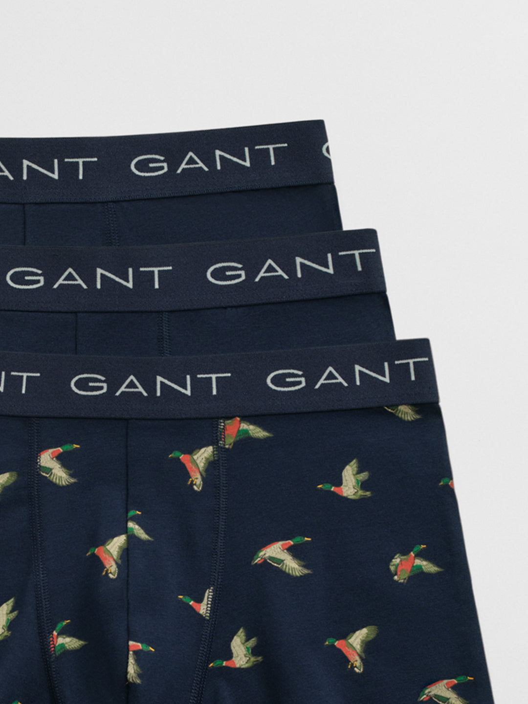 Gant Men Blue Printed Trunk
