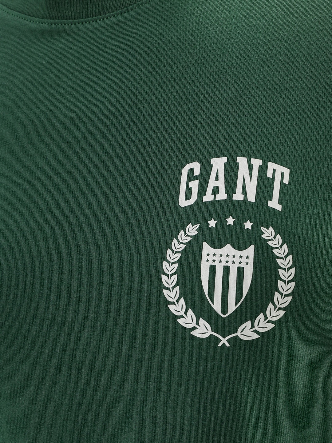 Gant Green Logo Relaxed Fit T-Shirt