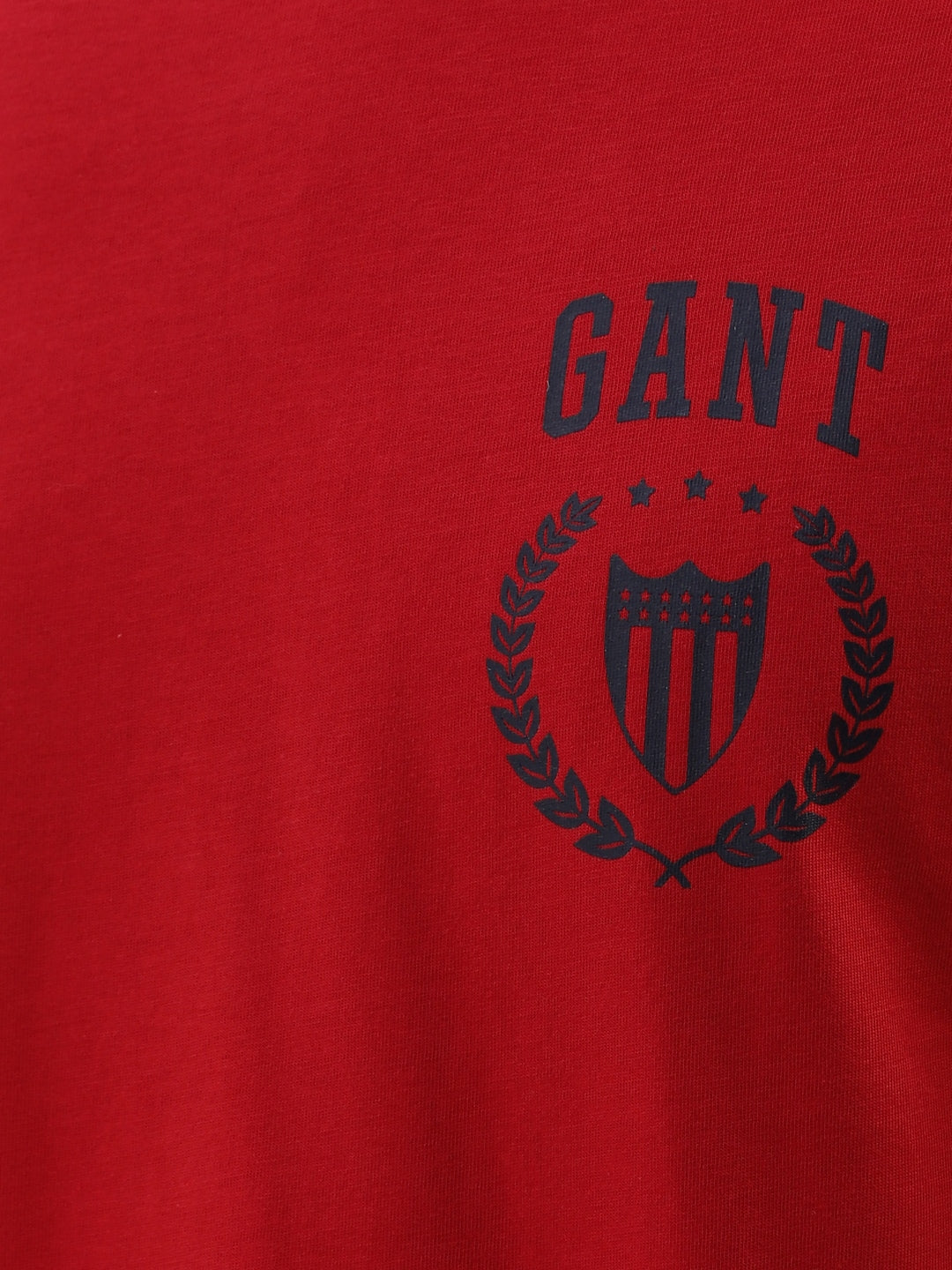 Gant Red Logo Relaxed Fit T-Shirt