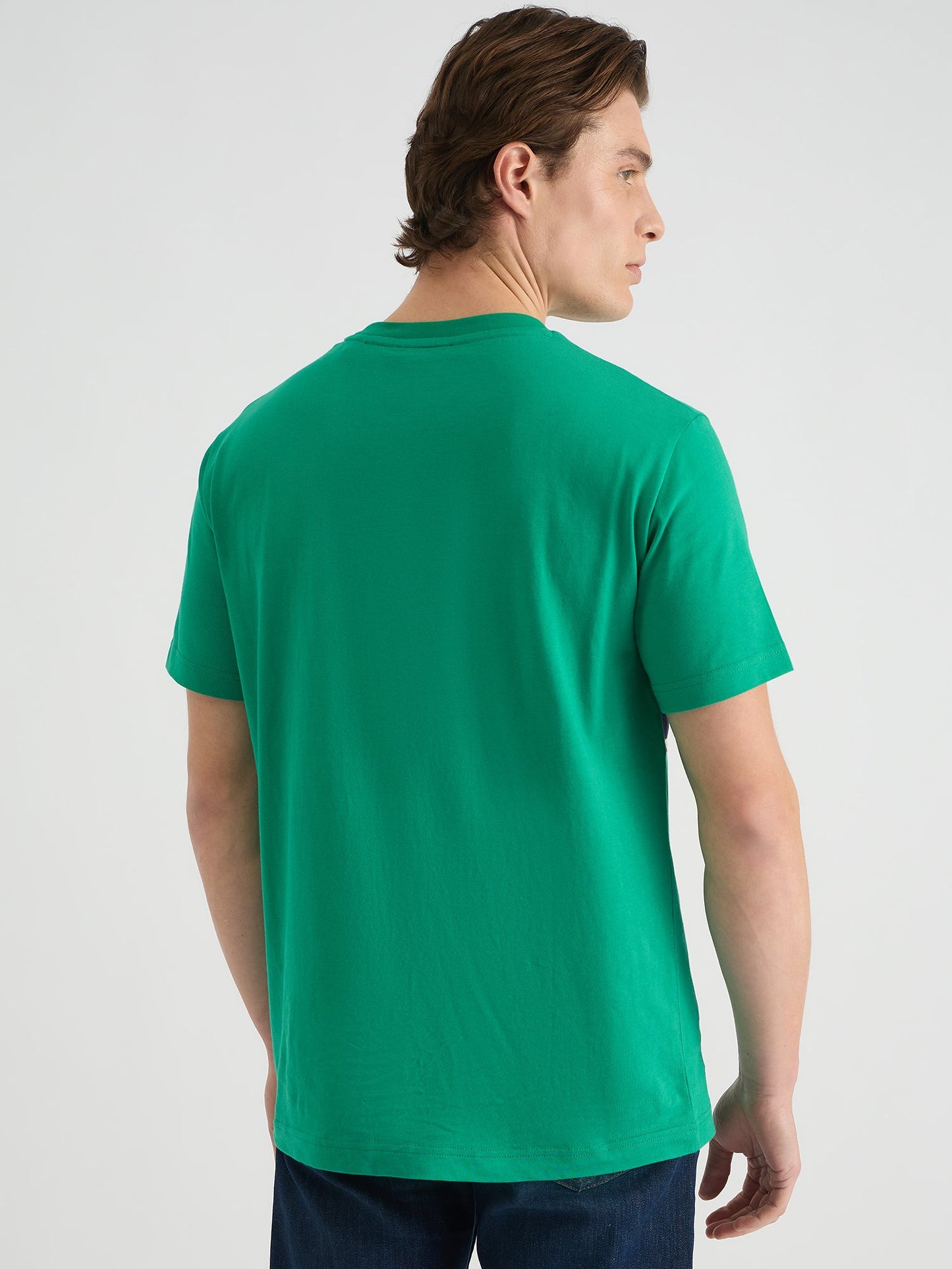 Gant Men Green Regular Fit Color Block Crew Neck Tshirt