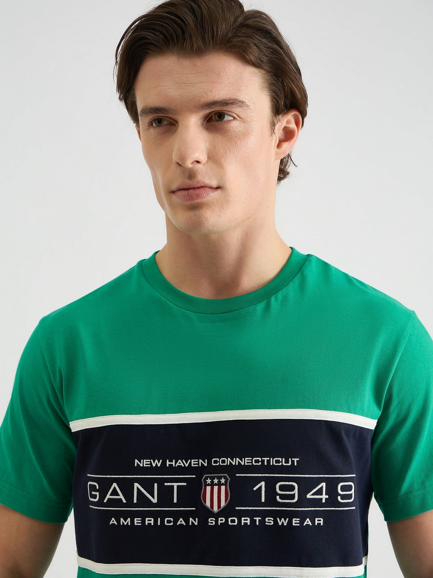 Gant Men Green Regular Fit Color Block Crew Neck Tshirt