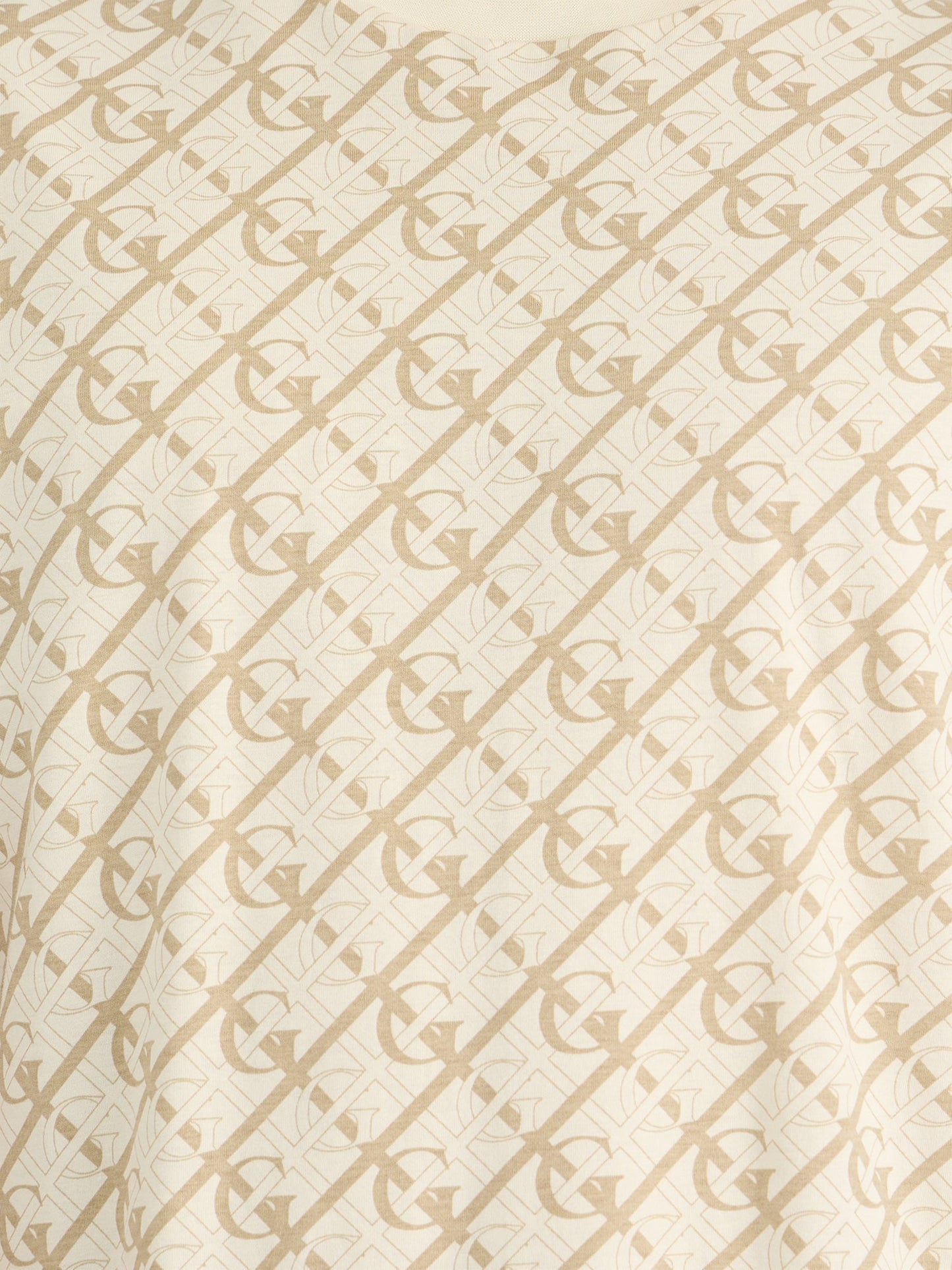 Gant Men Cream Regular Fit Printed Crew Neck Tshirt