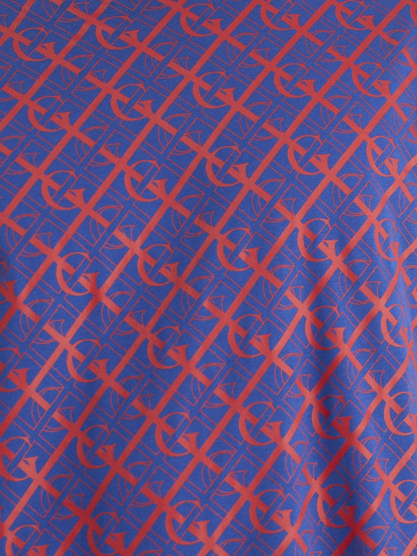 Gant Men Blue Regular Fit Printed Crew Neck Tshirt