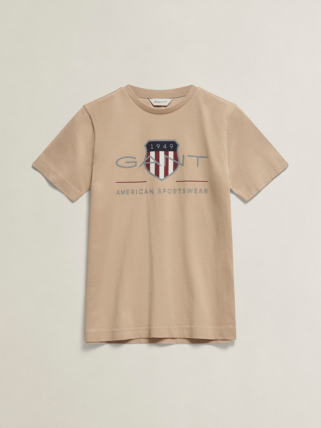 Gant Boys Brown Printed Round Neck T-Shirt