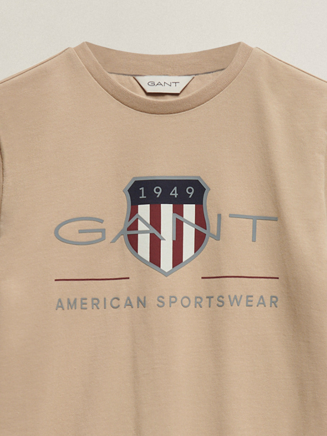 Gant Boys Brown Printed Round Neck T-Shirt