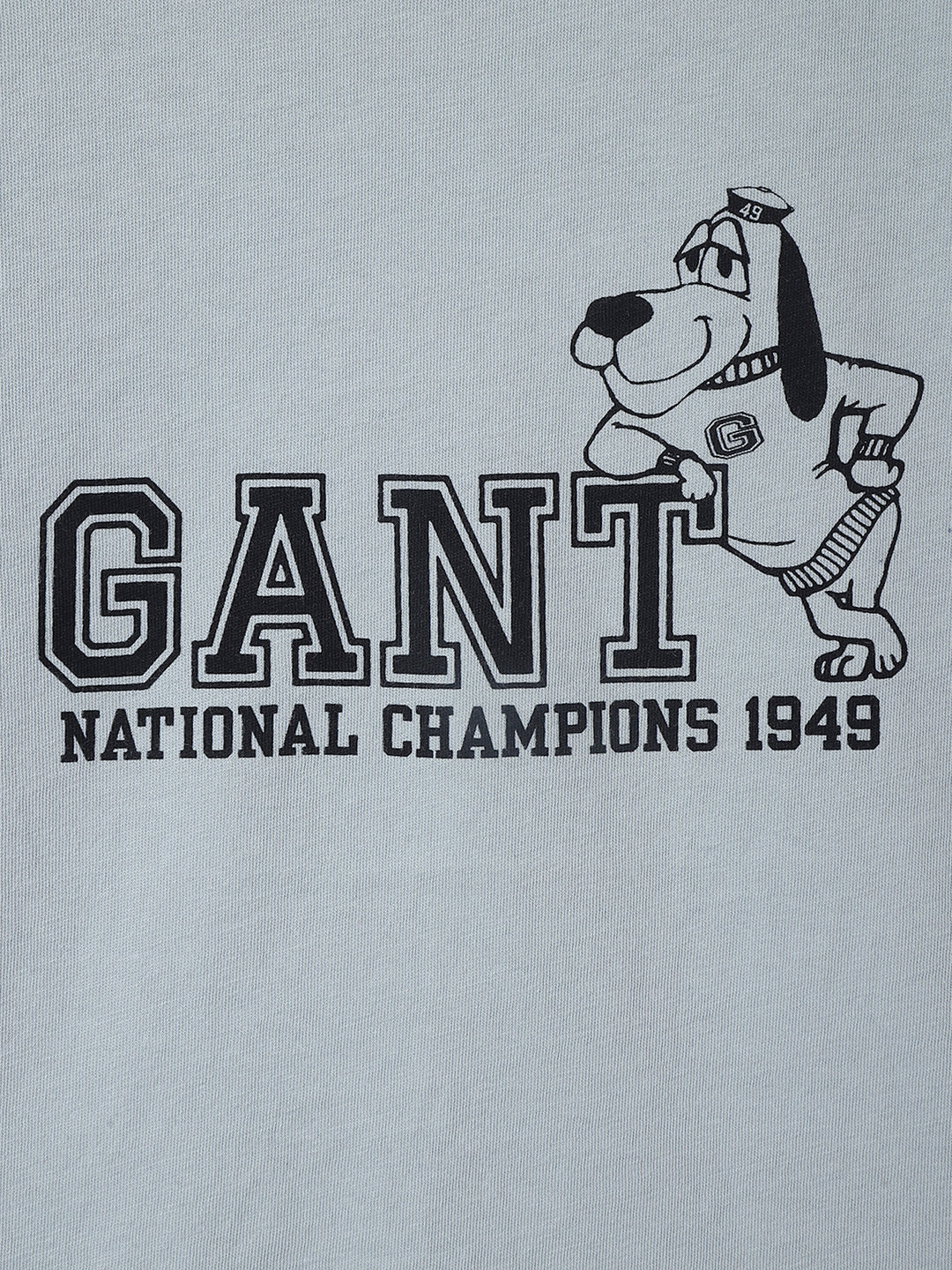 Gant Boys Blue Printed Round Neck Short Sleeves T-shirt