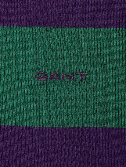 Gant Boys Purple Striped Polo Collar Full Sleeves T-Shirt