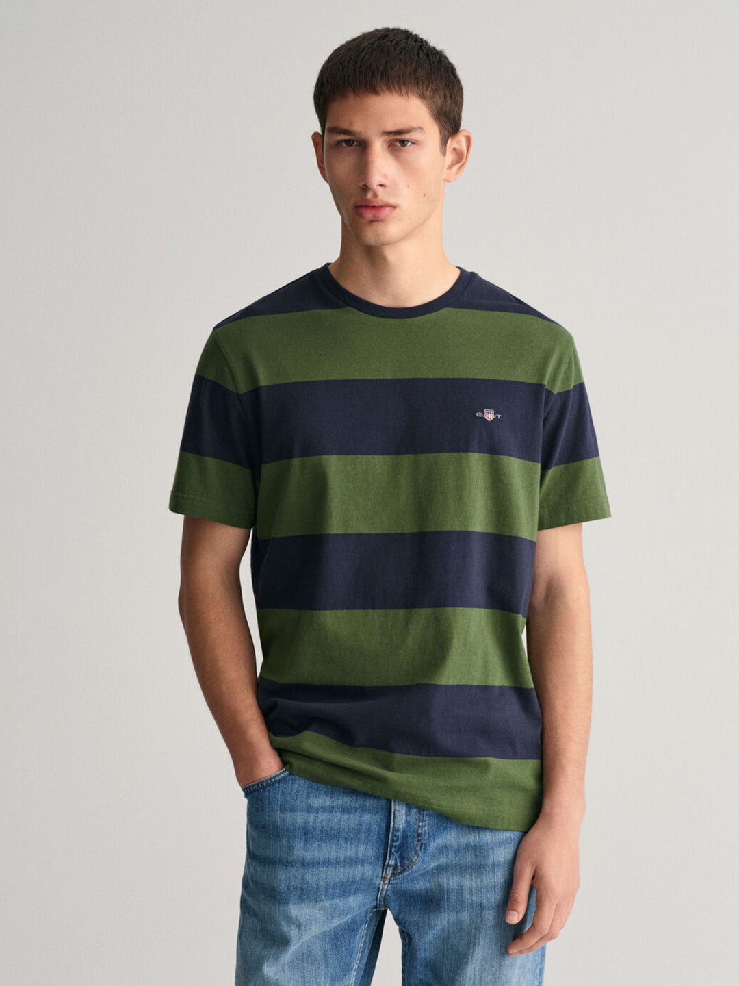 Gant Men Green Striped Round Neck Regular fit Short Sleeves T-shirt