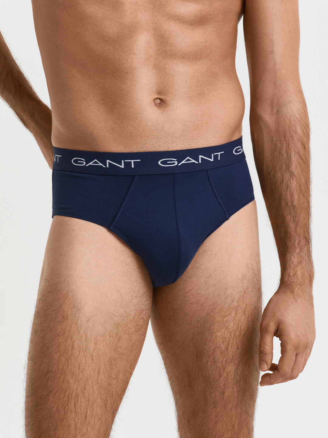 Gant Men Blue Briefs