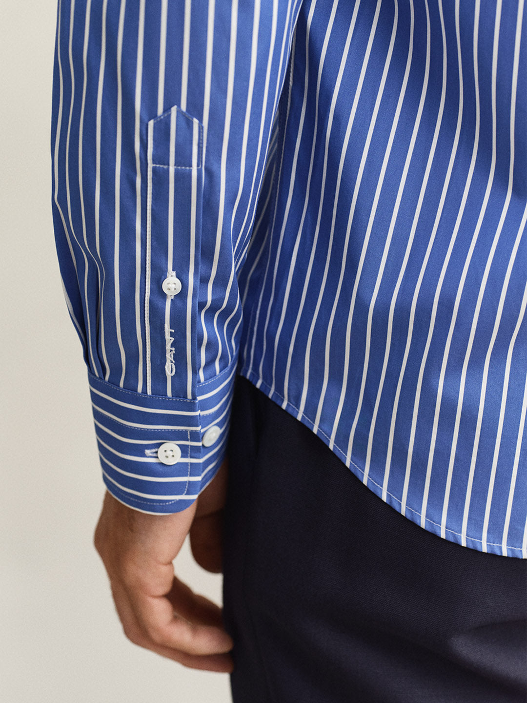 Gant Men Blue Striped Regular Fit Poplin Shirt