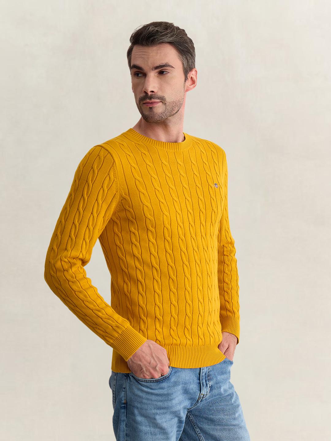 Gant Men Yellow Regular Fit Woven Design Organic Cotton Sweater