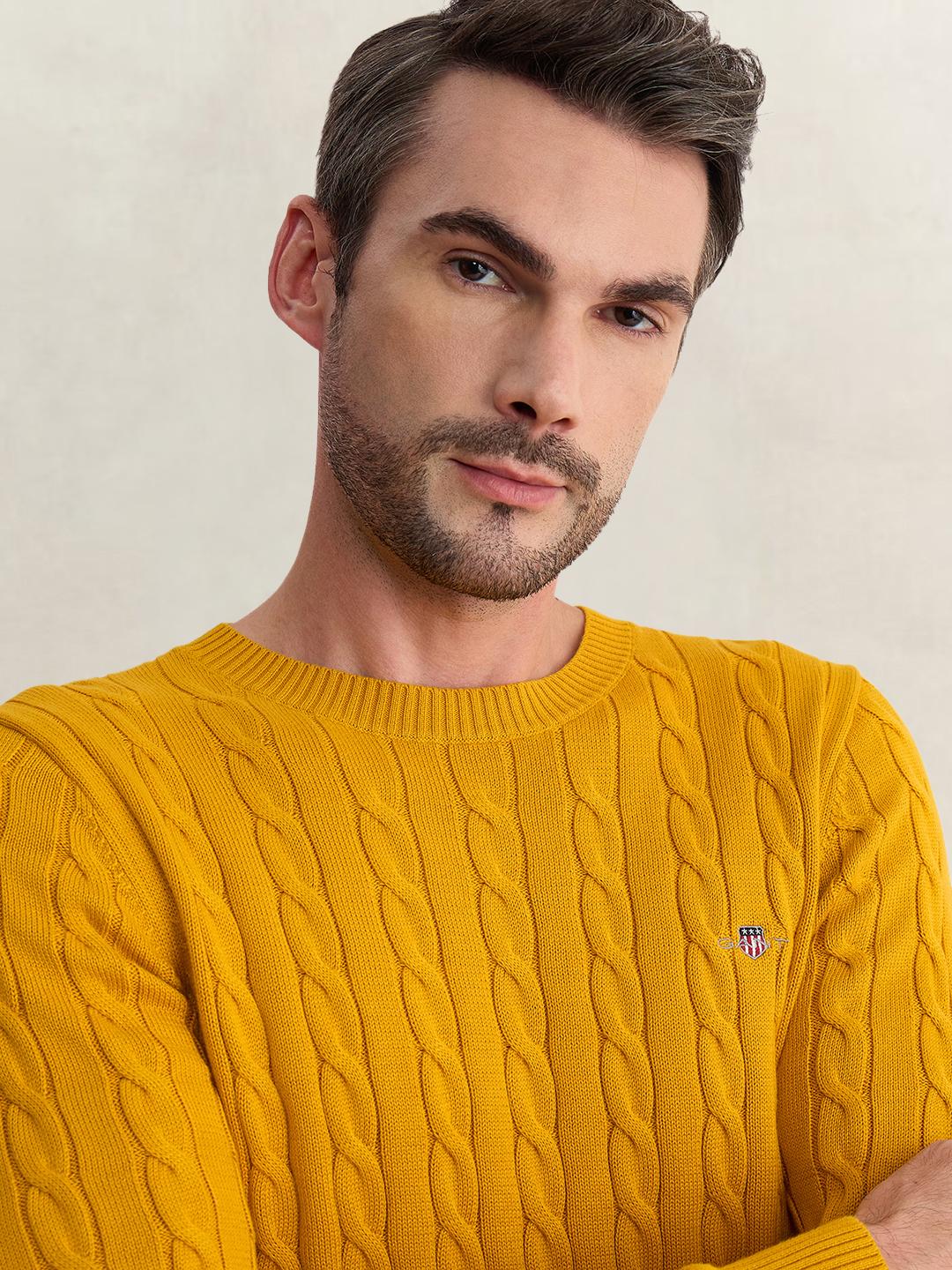 Gant Men Yellow Regular Fit Woven Design Organic Cotton Sweater