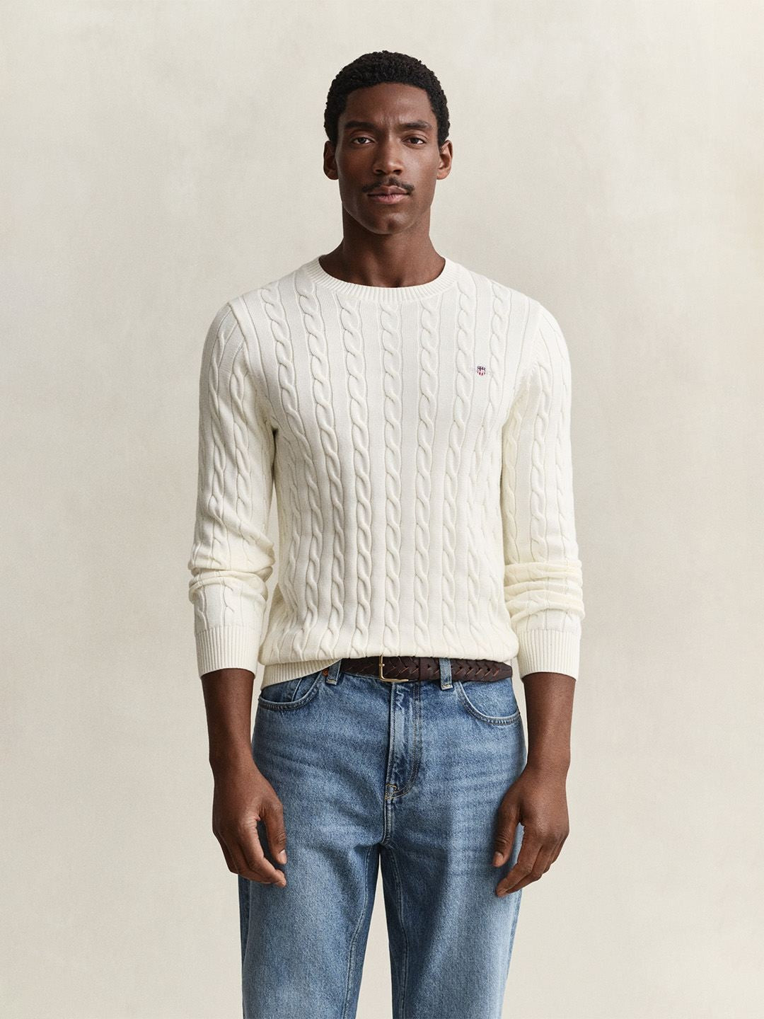 Gant Men Cream Textured Regular Fit Pure Cotton Sweater