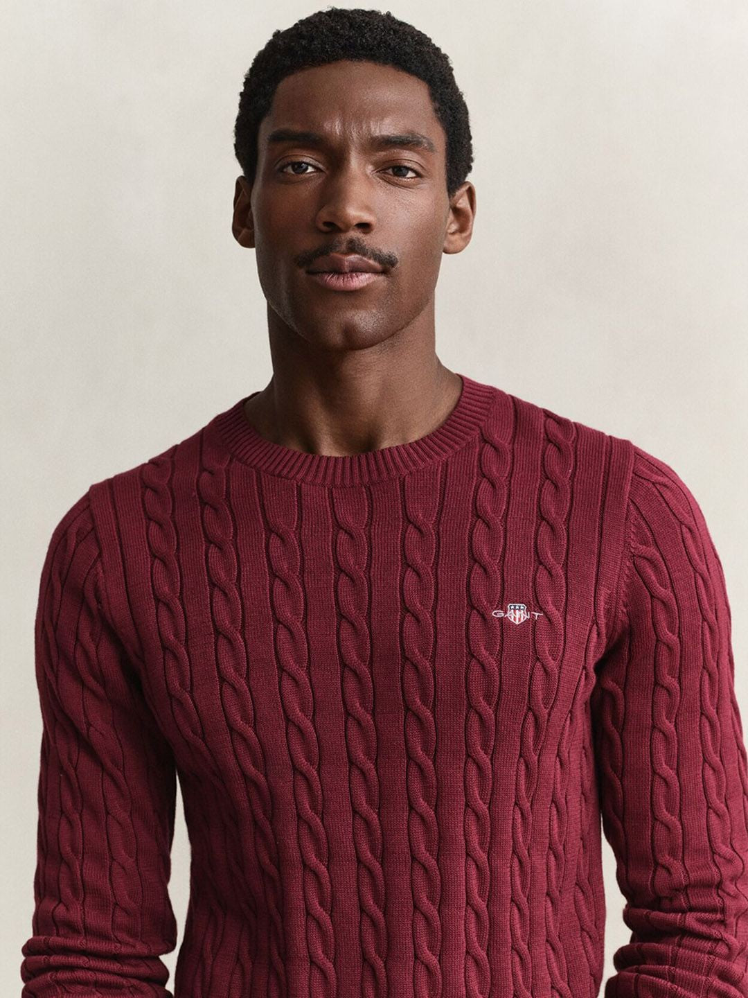 Gant Men Deep Maroon Textured Regular Fit Pure Cotton Sweater