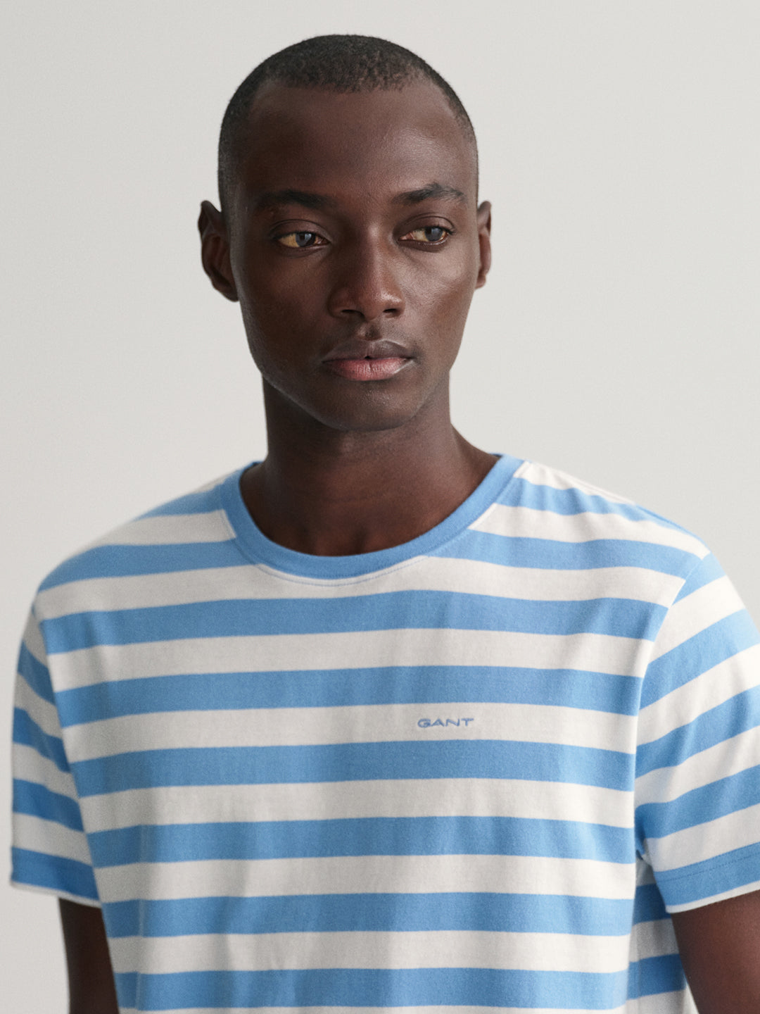 Gant Blue Striped Regular Fit T-Shirt