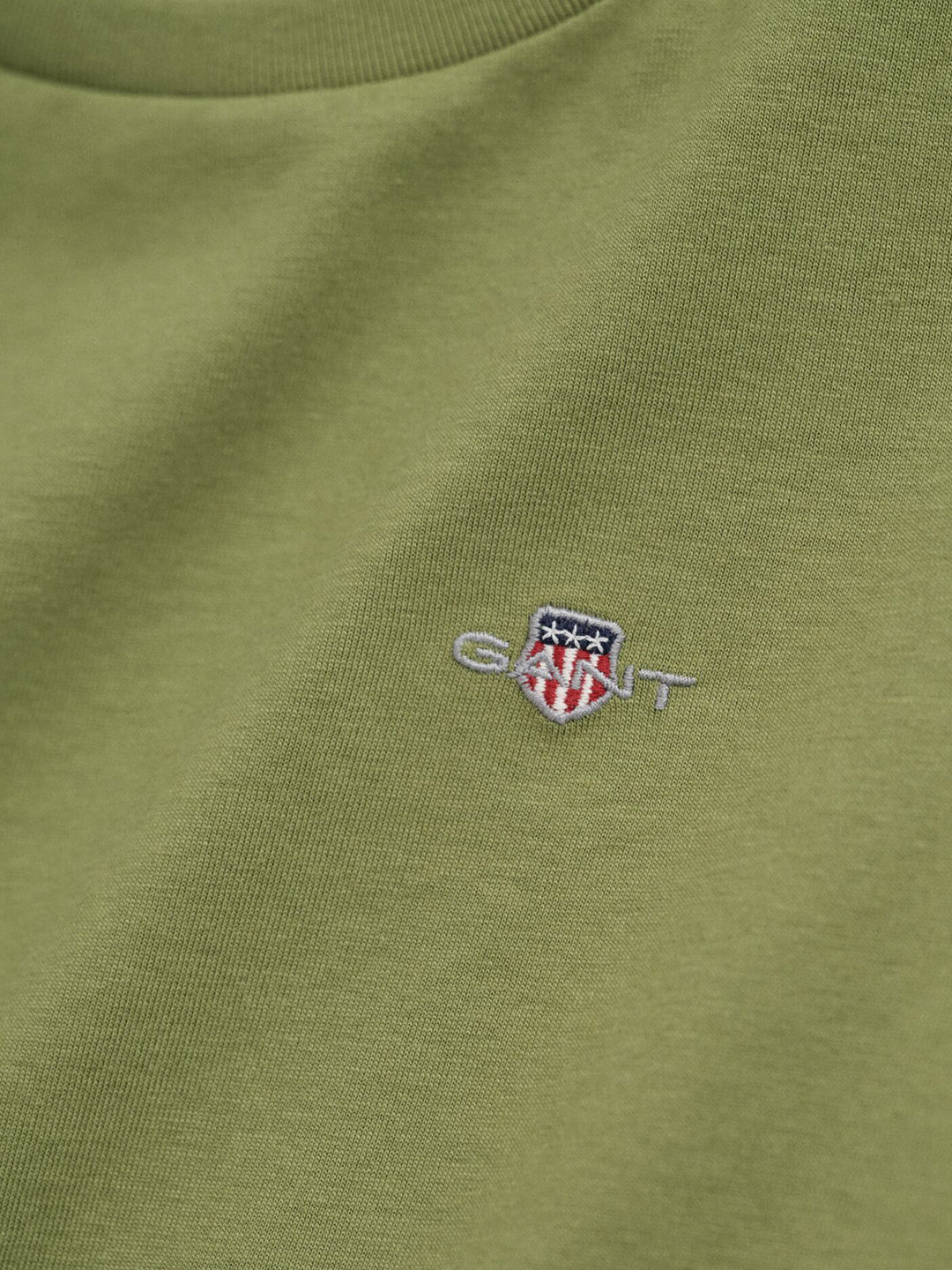 Gant Boys Green Solid Round Neck Tshirt