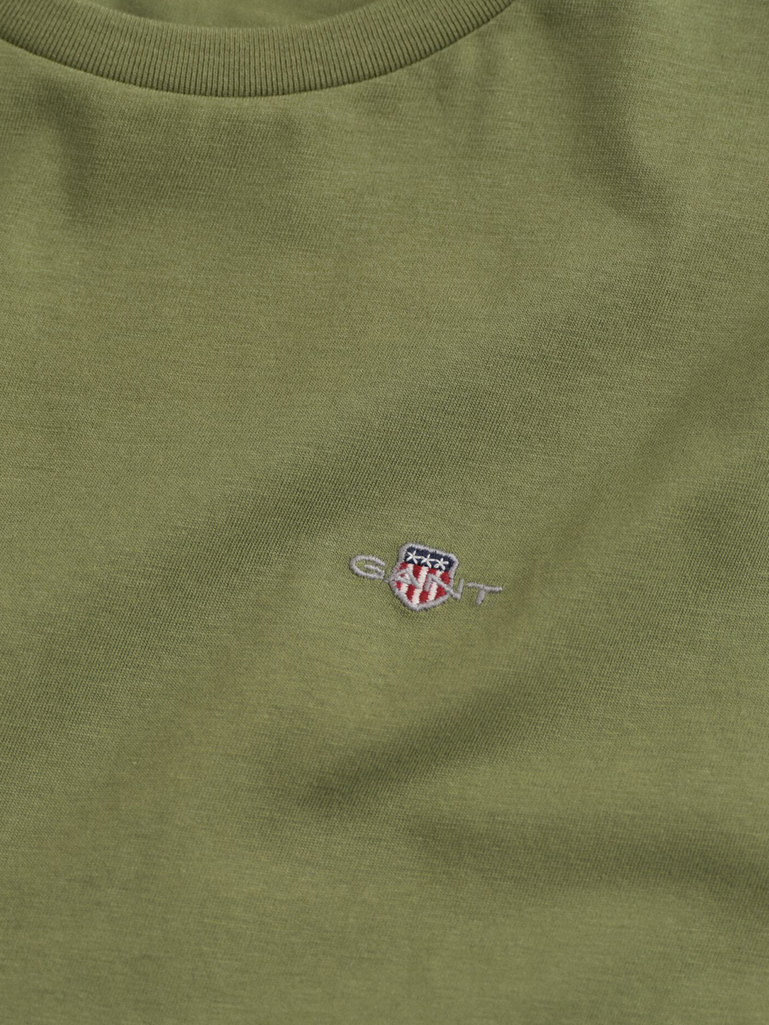 Gant Boys Green Solid Round Neck Tshirt