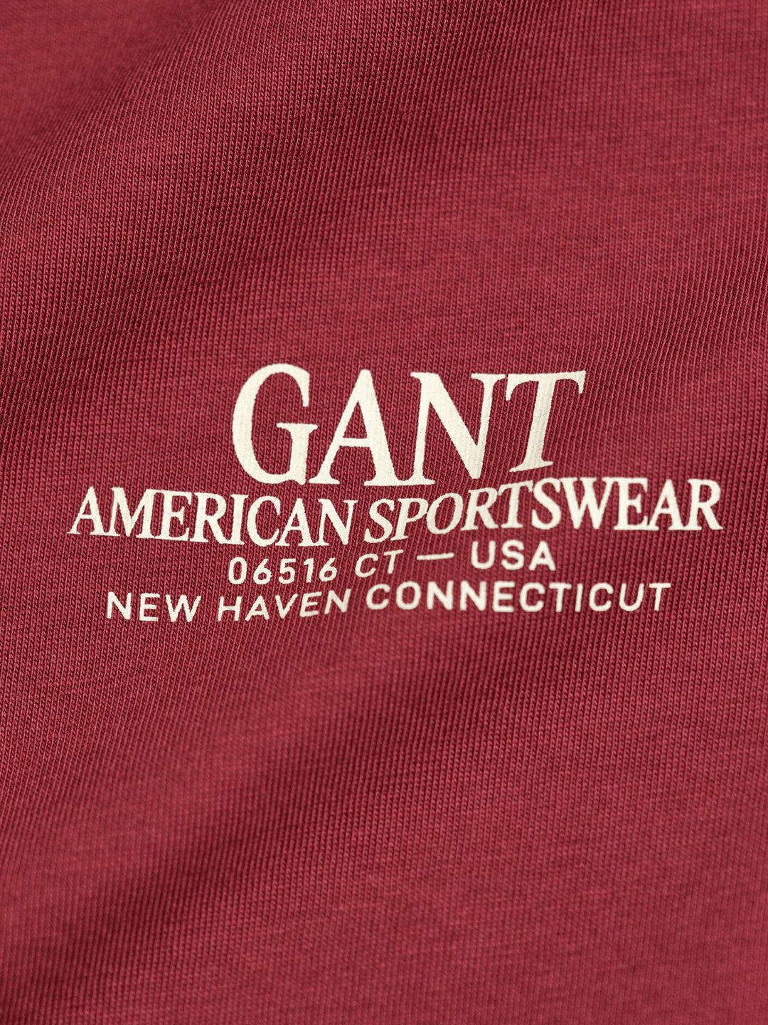 Gant Boys Red Graphic Round Neck Tshirt
