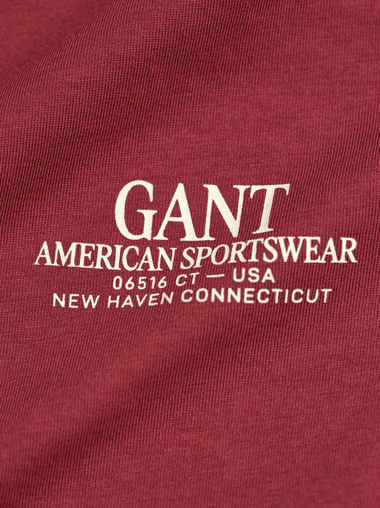 Gant Boys Red Graphic Round Neck Tshirt