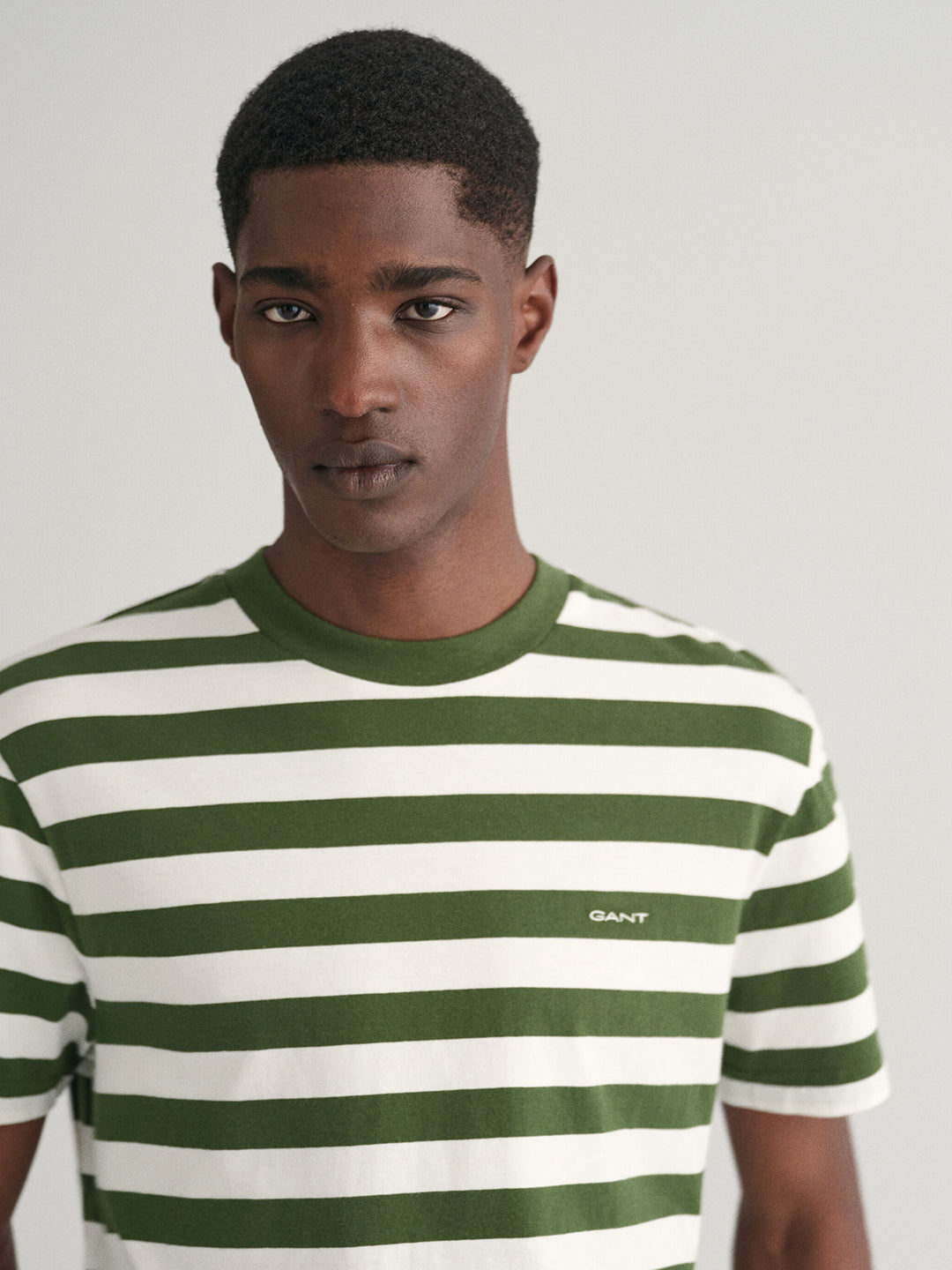 Gant Men Green Striped Round Neck Short Sleeves T-Shirt